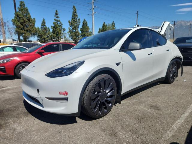 TESLA MODEL Y 2023 with VIN 7SAYGDEF0PF902567 - Photo from auction