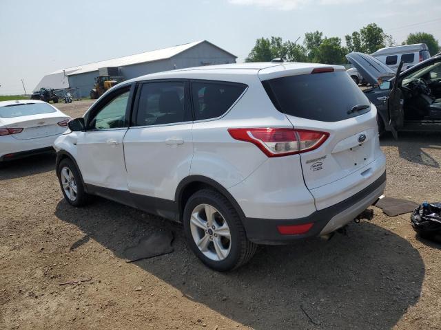 Photo 2 from auction – 2014 FORD ESCAPE SE with VIN 1FMCU9G97EUC96303
