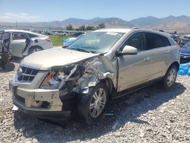 00 ISUZ TFS 2010 with VIN 3GYFNDEY0AS523654 - Photo from auction
