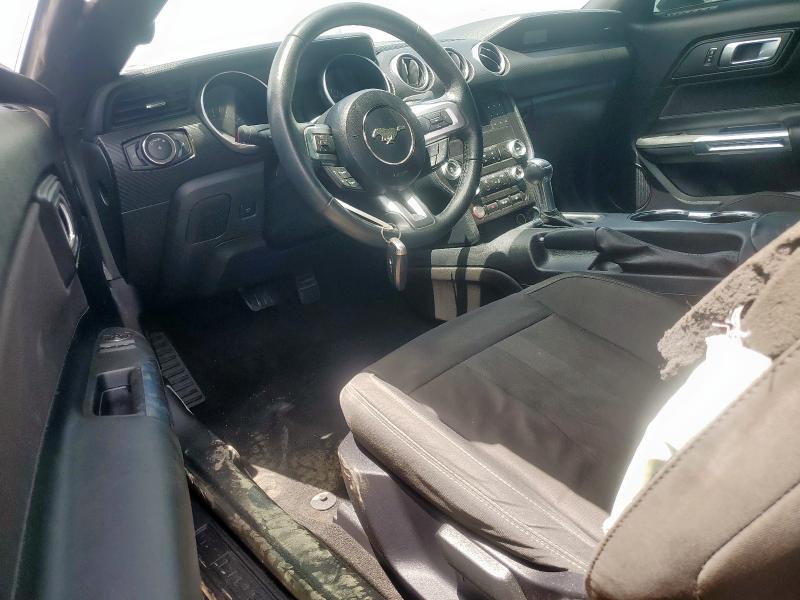 Photo 8 from auction – 2019 FORD MUSTANG with VIN 1FA6P8TH6K5166640