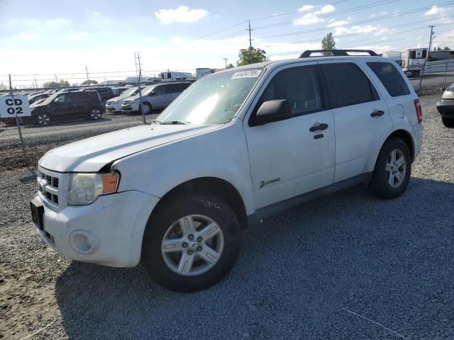 FORD ESCAPE HYB 2011 with VIN 1FMCU5K36BKB67715 - Photo from auction