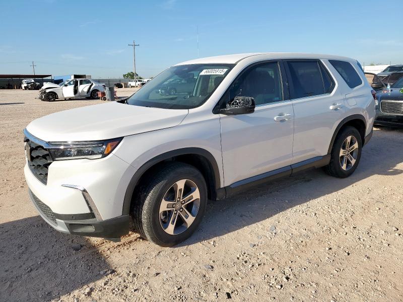 HONDA PILOT EXL 2024 with VIN 5FNYG2H47RB012551 - Photo from auction