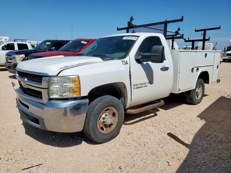 CHEVROLET SILVERADO 2008 with VIN 1GCHC24K08E201283 - Photo from auction