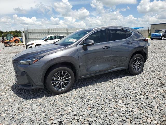 LEXUS NX 250 BAS 2024 with VIN 2T2ADCAZ7RC009106 - Photo from auction