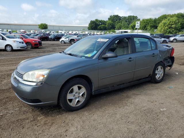 CHEVROLET MALIBU LS 2004 with VIN 1G1ZT54884F209672 - Photo from auction