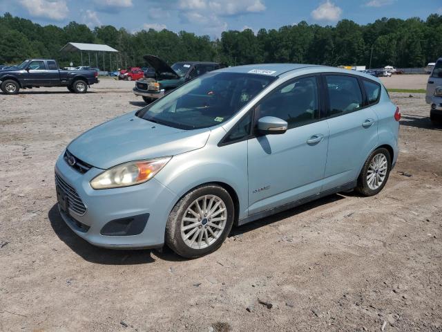 FORD C-MAX SE 2014 with VIN 1FADP5AU0EL519704 - Photo from auction