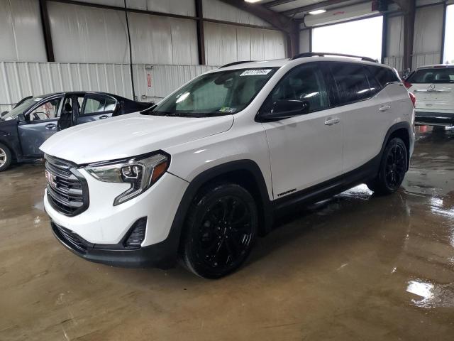 GMC TERRAIN SL 2020 with VIN 3GKALTEV6LL207974 - Photo from auction