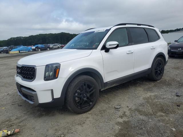KIA TELLURIDE 2023 with VIN 5XYP5DGC4PG409789 - Photo from auction