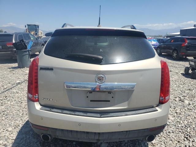 Photo 6 from auction – 2010 00 ISUZ TFS with VIN 3GYFNDEY0AS523654