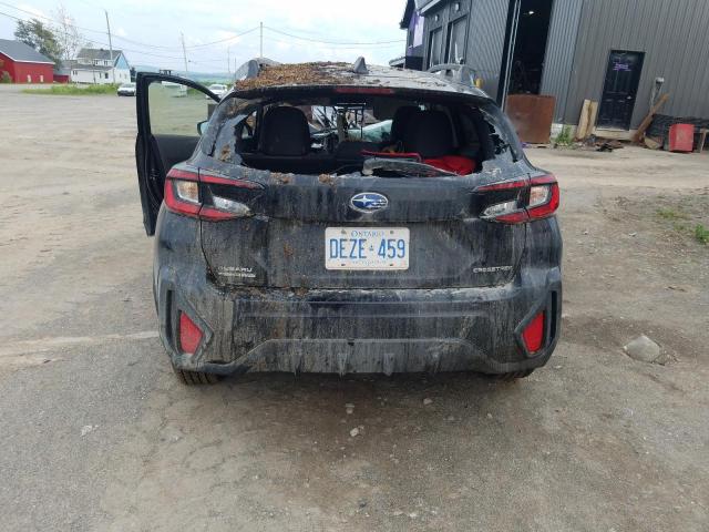 Photo 6 from auction – 2025 SUBARU CROSSTREK with VIN JF2GUABC3S8217919