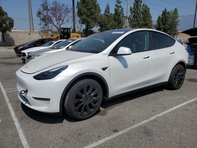 TESLA MODEL Y 2025 with VIN 7SAYGDEE8SF247834 - Photo from auction