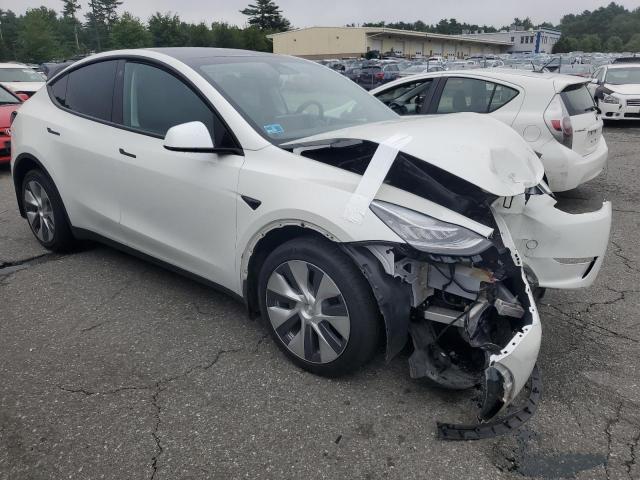 Photo 4 from auction – 2023 TESLA MODEL Y with VIN 7SAYGDEE1PF618923