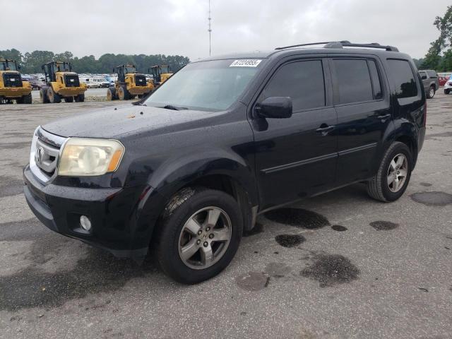 HONDA PILOT EXL 2009 with VIN 5FNYF38509B025515 - Photo from auction