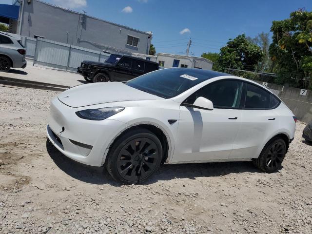 TESLA MODEL Y 2023 with VIN 7SAYGDEEXPA099335 - Photo from auction