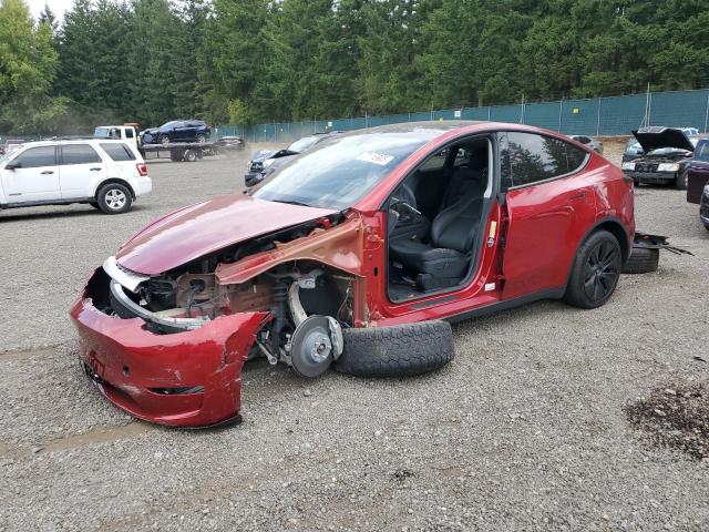 TESLA MODEL Y 2025 with VIN 7SAYGDEE2SF281526 - Photo from auction
