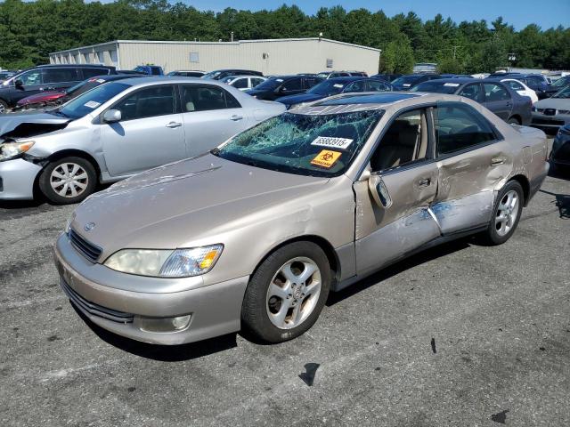 LEXUS ES 300 2001 with VIN JT8BF28G910339585 - Photo from auction
