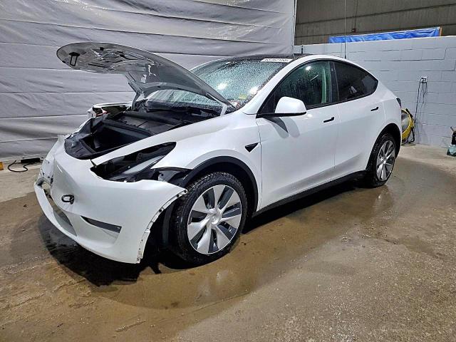 TESLA MODEL Y 2023 with VIN 7SAYGDEE8PF684613 - Photo from auction