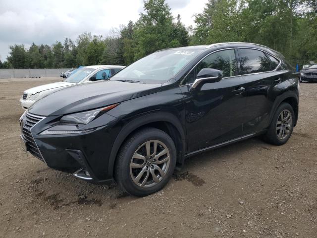 LEXUS NX 300 BAS 2018 with VIN JTJBARBZ4J2171066 - Photo from auction