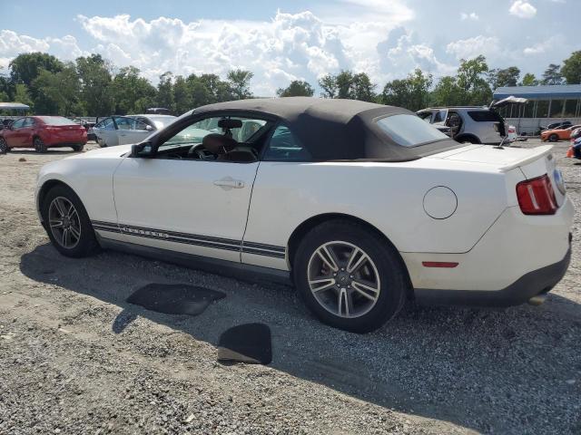 Photo 2 from auction – 2011 FORD MUSTANG with VIN 1ZVBP8EM0B5126554