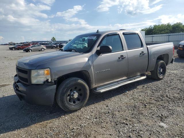CHEVROLET SILVERADO 2009 with VIN 3GCEC13C49G100250 - Photo from auction