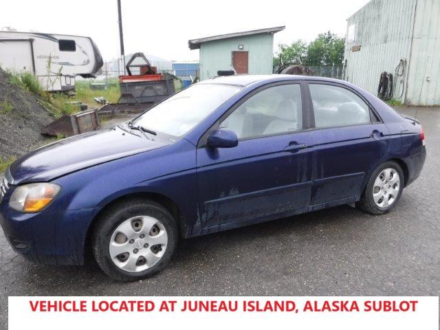 KIA SPECTRA EX 2009 with VIN KNAFE222695619673 - Photo from auction