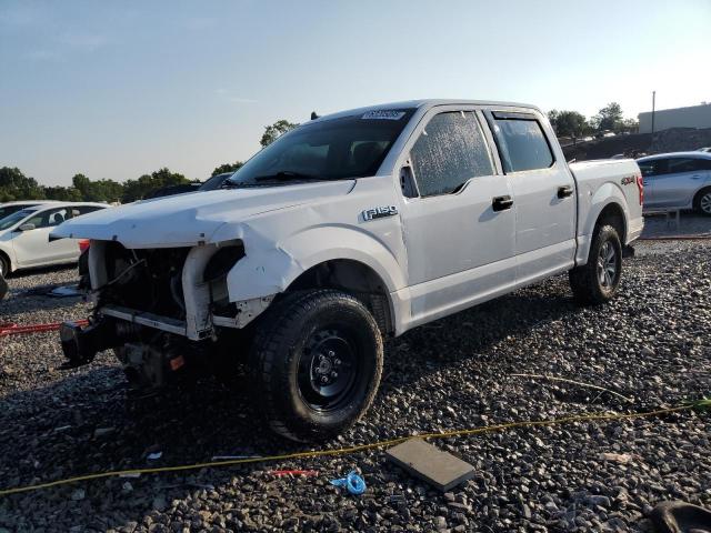 Photo 1 from auction – 2019 FORD F150 SUPER with VIN 1FTEW1EP0KKD05828