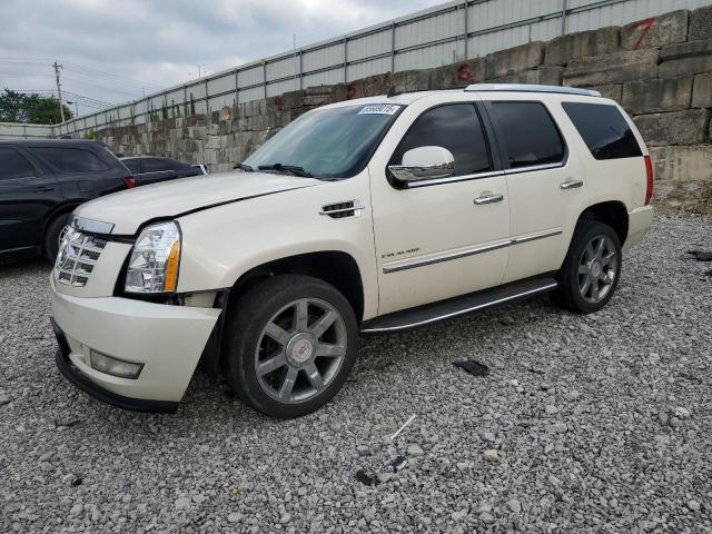 Photo 1 from auction – 2010 CADILLAC ESCALADE LUXURY with VIN 1GYUKBEF4AR138359