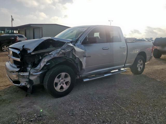 DODGE RAM 1500 2010 with VIN 1D7RV1GT7AS163254 - Photo from auction