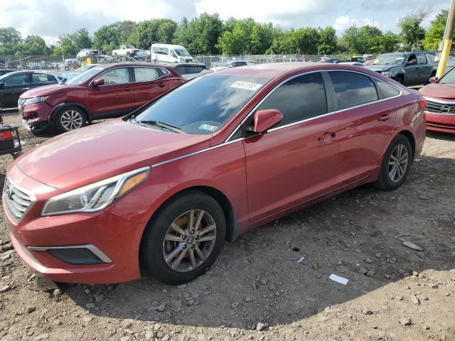 HYUNDAI SONATA SE 2016 with VIN 5NPE24AF0GH430408 - Photo from auction