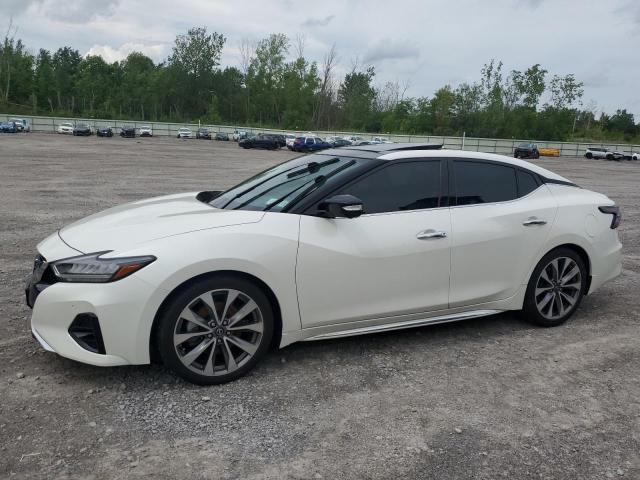 NISSAN MAXIMA PLA 2023 with VIN 1N4AA6FVXPC501161 - Photo from auction