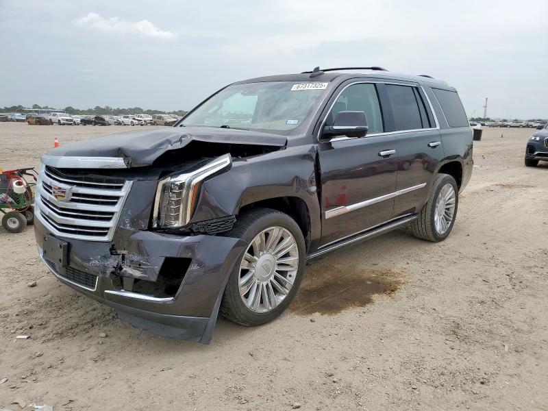 CADILLAC ESCALADE PLATINUM 2016 with VIN 1GYS3DKJ7GR381844 - Photo from auction