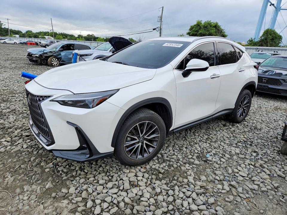 LEXUS NX 350 2025 with VIN 2T2AGCEZXSC071493 - Photo from auction