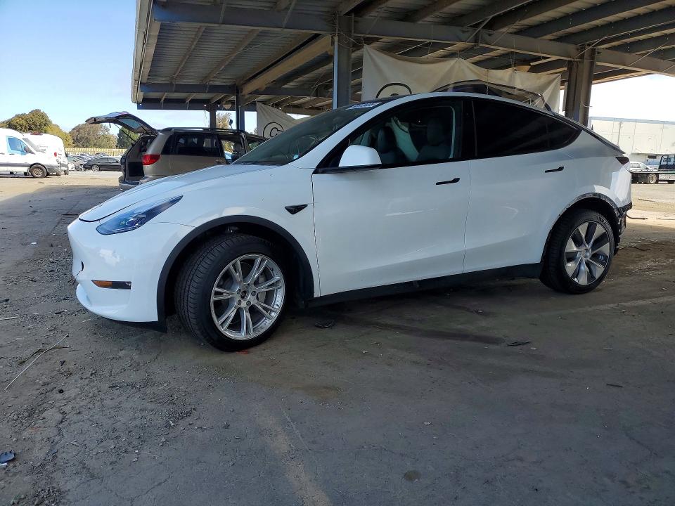 TESLA MODEL Y 2023 with VIN 7SAYGDEE8PA139198 - Photo from auction