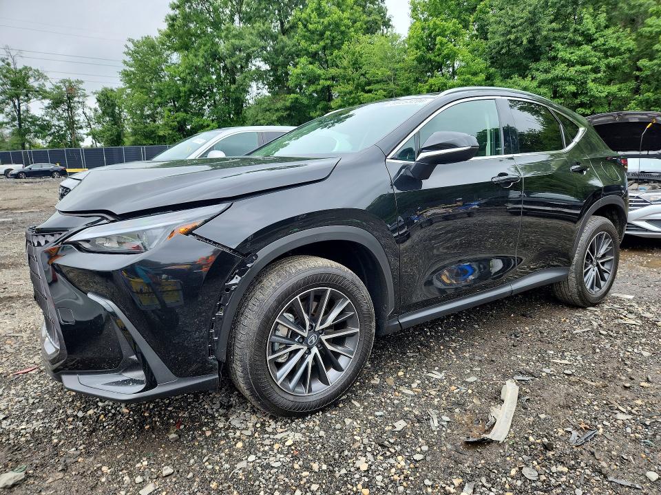 LEXUS NX 2026 with VIN 2T2GGCEZ3TC107570 - Photo from auction