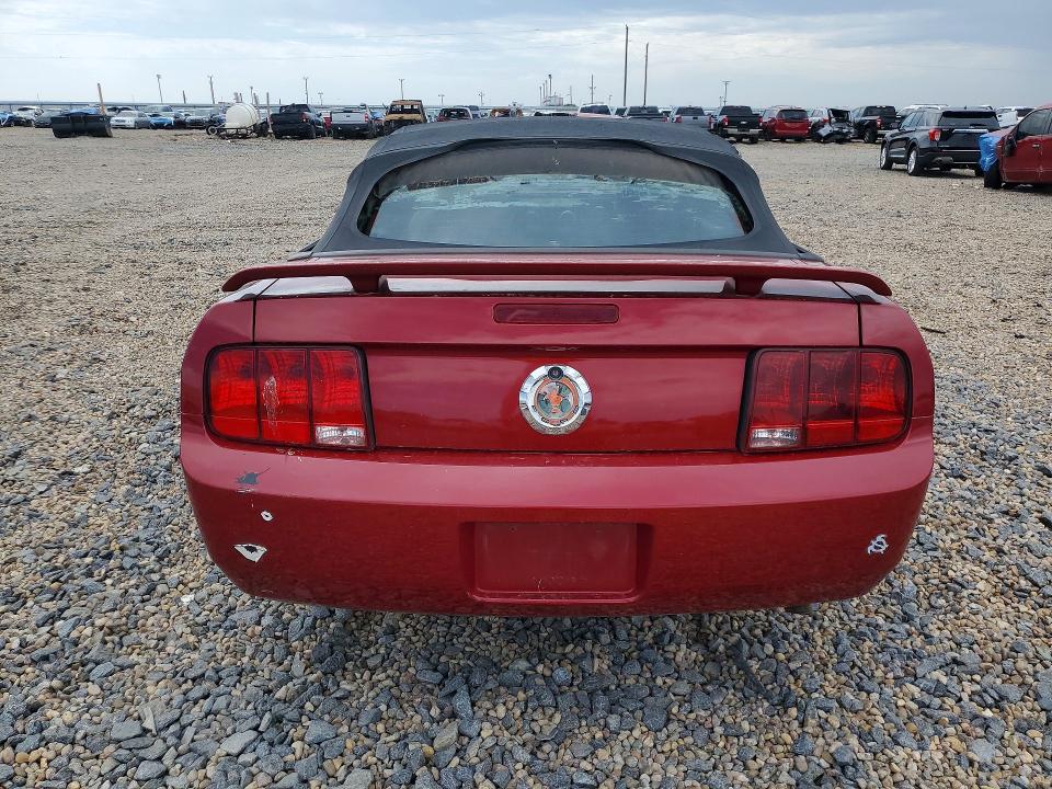 Photo 6 from auction – 2006 FORD MUSTANG with VIN 1ZVFT84N565189761