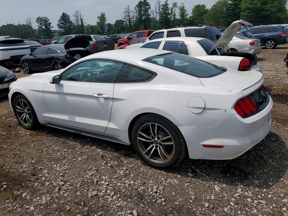 Photo 2 from auction – 2017 FORD MUSTANG with VIN 1FA6P8TH1H5256223