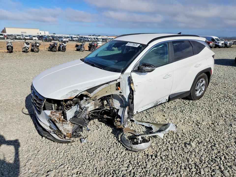 HYUNDAI TUCSON 2023 with VIN 5NMJB3AE2PH174964 - Photo from auction