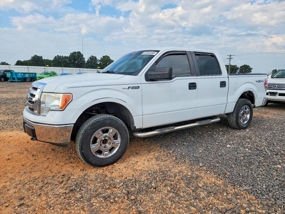 FORD F150 2010 with VIN 1FTEW1E82AKE15917 - Photo from auction