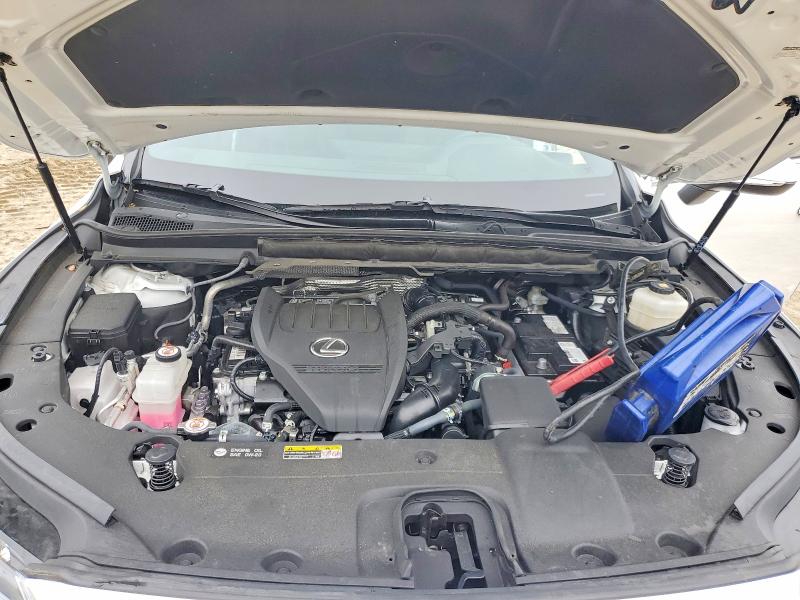 Photo 12 from auction – 2024 LEXUS RX 350 with VIN 2T2BAMCAXRC069956