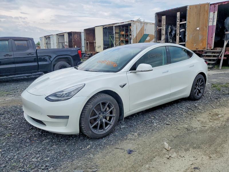 TESLA MODEL 3 2020 with VIN 5YJ3E1EA0LF529332 - Photo from auction
