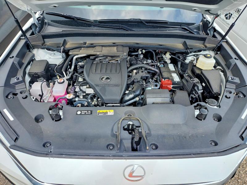 Photo 12 from auction – 2025 LEXUS TX 350 with VIN 5TDAAAB6XSS028803