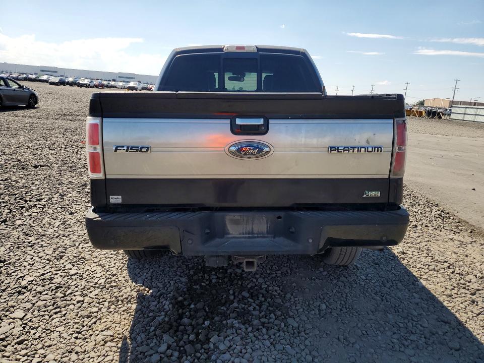Photo 6 from auction – 2010 FORD F150 with VIN 1FTFW1EV9AFD28406