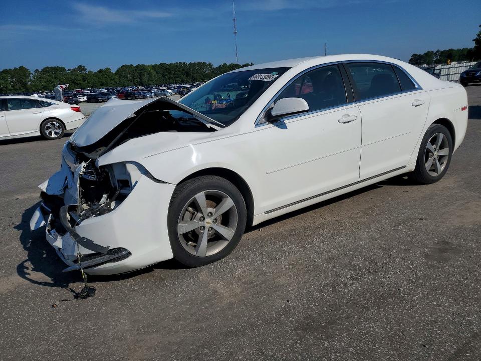 CHEVROLET MALIBU 2011 with VIN 1G1ZC5EU7BF391907 - Photo from auction