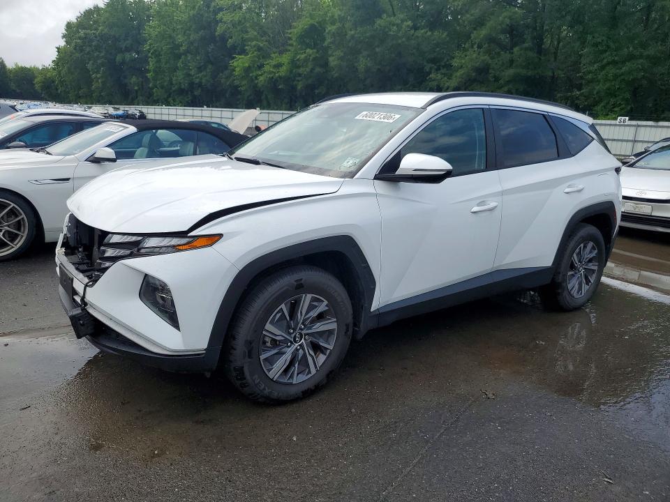 HYUNDAI TUCSON 2023 with VIN KM8JBCA15PU096410 - Photo from auction
