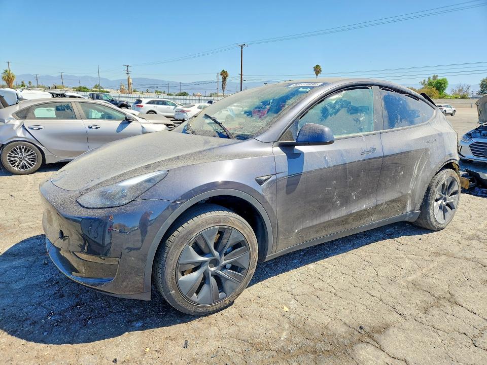 TESLA MODEL Y 2024 with VIN 7SAYGDED6RF117052 - Photo from auction