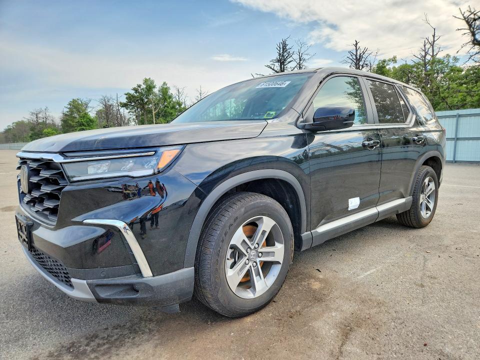 HONDA PILOT 2025 with VIN 5FNYG1H43SB058331 - Photo from auction