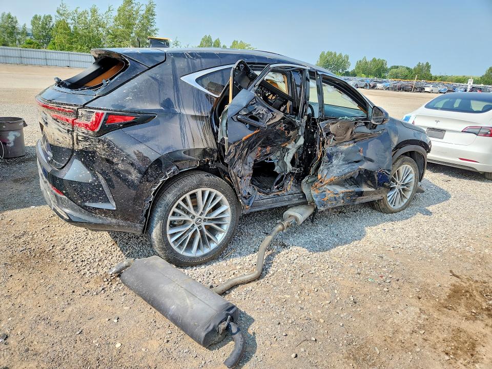 Photo 3 from auction – 2025 LEXUS NX with VIN 2T2GGCEZ6SC089452