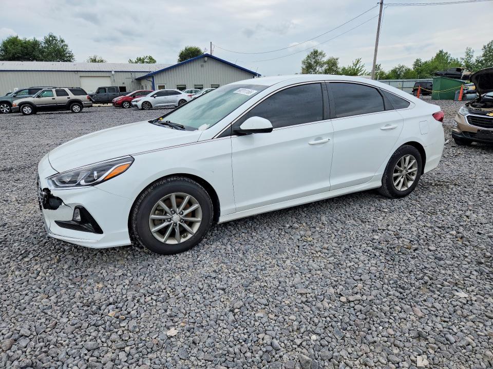 HYUNDAI SONATA 2019 with VIN 5NPE24AF5KH754852 - Photo from auction