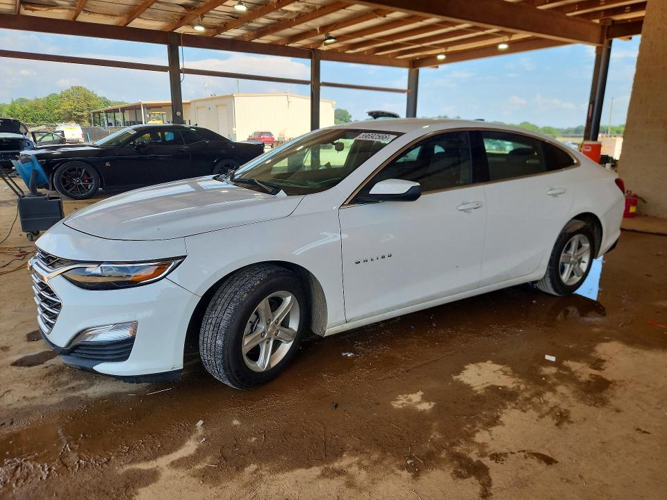 CHEVROLET MALIBU 2024 with VIN 1G1ZC5ST3RF165823 - Photo from auction
