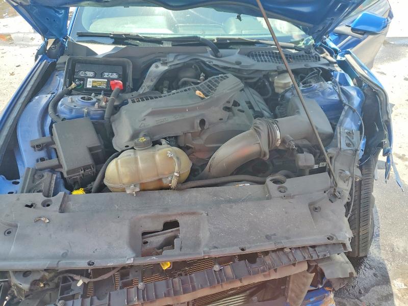 Photo 11 from auction – 2017 FORD MUSTANG with VIN 1FA6P8TH5H5342294